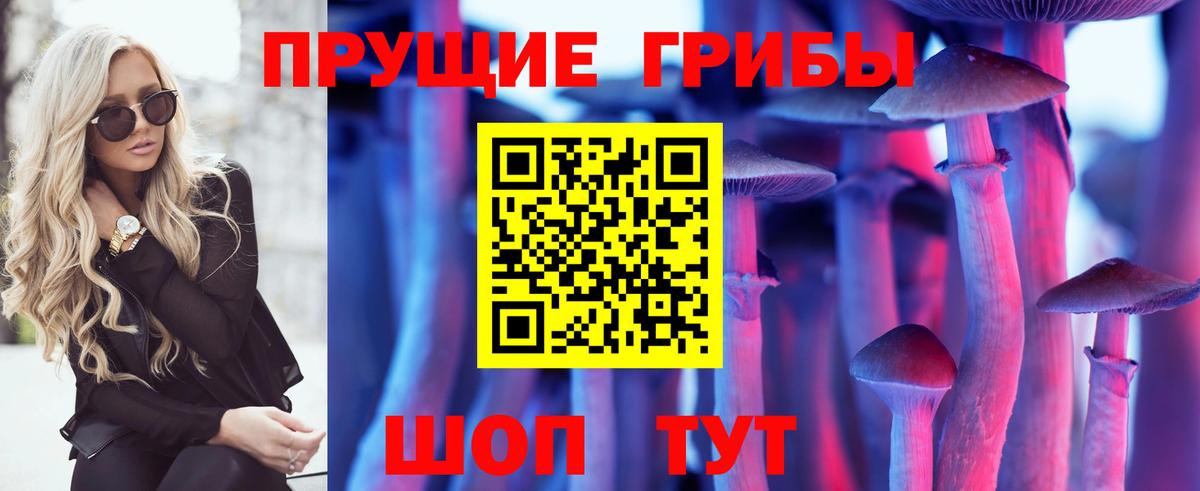 Псилоцибиновые грибы GOLDEN TEACHER Нововоронеж